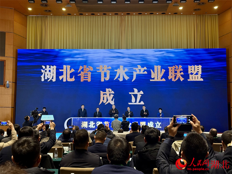 大會現(xiàn)場。人民網(wǎng)記者 張沛攝